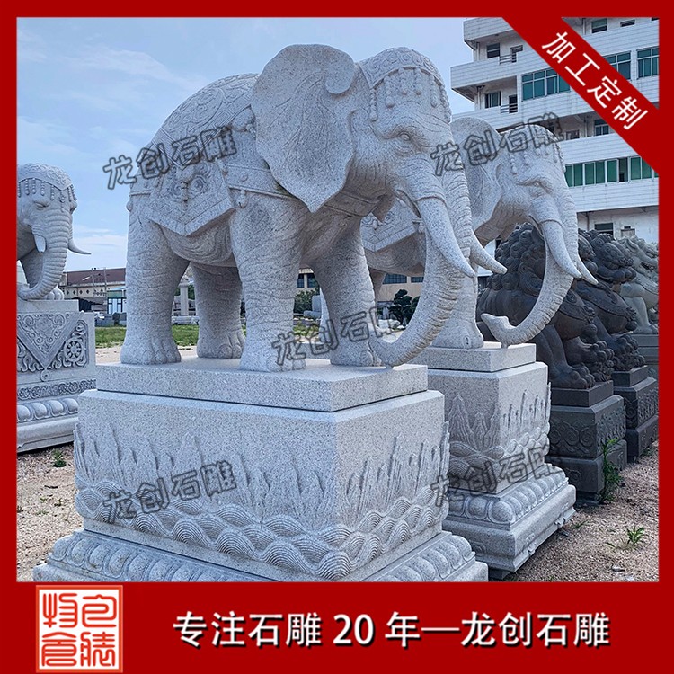 1617345807530386.jpg 大象 (305)